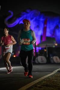 BIB: 
                            <button type="button" onclick="openModal(26531272)" class="btn btn-primary btn-sm float-right btn-popup" data-toggle="modal" data-target=".modal-high-quality">
                        <i class="fas fa-shopping-cart"></i> Add to Cart
                    </button>
                                            <button type="button" onclick="isThisMe(26531272, true)" class="btn btn-success btn-sm float-right btn-popup btn-isme hidden" data-toggle="tooltip" data-placement="bottom" title="นี่คือรูปของคุณใช่ไหม คลิกที่นี่เพื่อเอาเข้าอัลบั้ม">
                        <i class="fas fa-plus"></i> Add to album
                    </button>
                    <button type="button" onclick="isThisMe(26531272, false)" class="btn btn-warning btn-sm float-right btn-popup btn-isnotme hidden">
                        <i class="fas fa-ban"></i> Remove from album
                    </button>